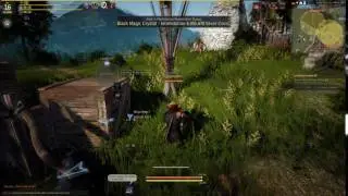 Black Desert RKO