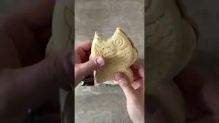 Korean Samanco Ice Cream Review!