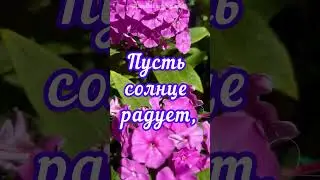 Прекрасного утра  