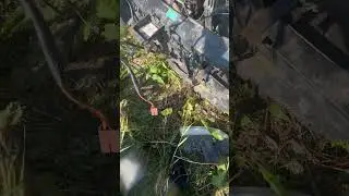 Проводка на фары саманд