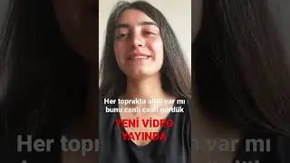 Akarsularda altın aramak / Altın bulmanın en Kolay yolu #altın #altınarama #akarsulardaaltınarama