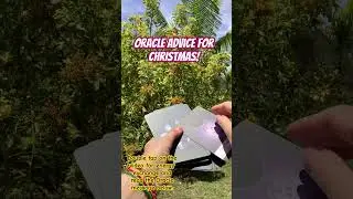 Oracle advice for Christmas 2023 from Purple Blossom Therapy #moonology #moonologyoraclecards