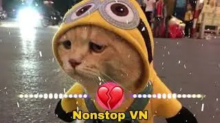 ta ta ta ta tatata tatata music tik tok Phiêu Plus