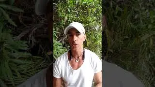 איזה תוספי תזונה שוברים צום ומה אפשר לקחת תוך כדי?