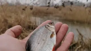 cheap float fishing on the river Zelvyanka winter fishing From No7