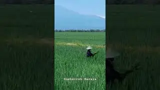 Desa Karanganyar 