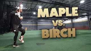 MAPLE vs. BIRCH | Wood Bat Review