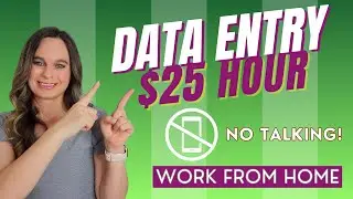 $25 Hour No Talking DATA ENTRY Remote Work From Home With No College Degree Needed | USA Only