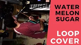 Harry Styles - Watermelon Sugar -  Cover