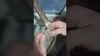 11 таспа өру. Тұсау жасау.