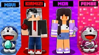 HANGİ GİZLİ RENGİ SEÇMELİYİM - 😱 Minecraft