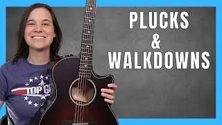 Fingerpicking for Beginners - Pluck Patterns and Walkdowns