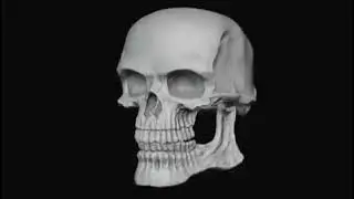 💀