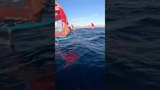 IQFoiling with da boys      l     IQFoilDaily #iqfoildaily #iqfoil #windsurf #surfing #windsurfing