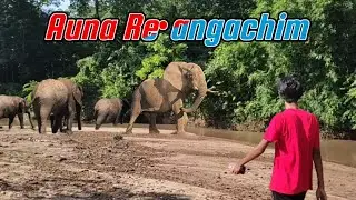 Panda Songona Auna Re•ba.