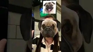 איזה כלב אני וחברות שלי?!🐶