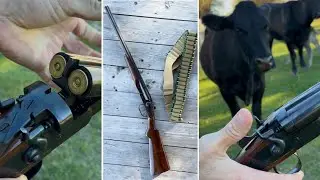 Double Barrel