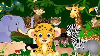 Adivinanzas de animales salvajes