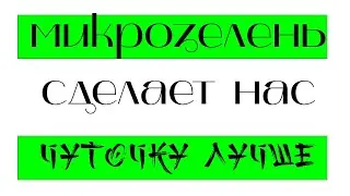 Как вырастить микрозелень без потерь.