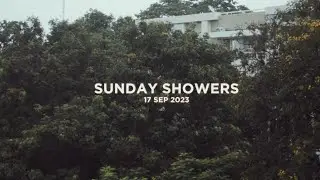 Rainy Sunday Blues : Morning Serenity