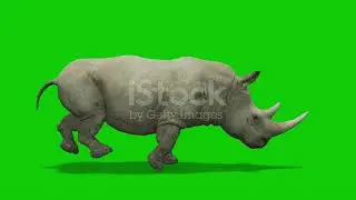 Rhino run green screen