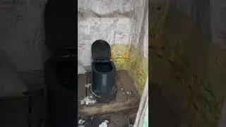 Toilet review