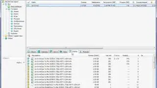 30. Как докачать пропущенные файлы (BitSpirit)