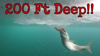 Ice Fishing Lake Trout in 200 Ft of Water! (Underwater Footage)