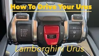 How to Drive a Lamborghini Urus