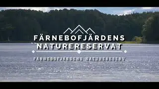 Färnebofjärden Naturreservat 2022 #1 (Gysinge)
