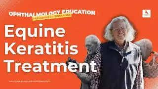 Equine Keratitis Treatment: Managing Deep Ulcers Effectively