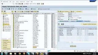 MASTER Data Loading  For  Automatic Data Source & INFO Object by INFO PROVIDER in SAP-BI/BW