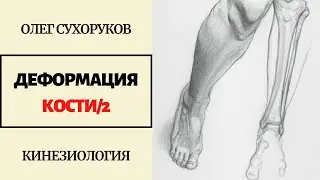 КОСТЬ ГНЕТСЯ?! ИССЛЕДОВАНИЕ БОЛЬШЕБЕРЦОВОЙ КОСТИ. ЧАСТЬ 2. ПРИКЛАДНАЯ КИНЕЗИОЛОГИЯ.