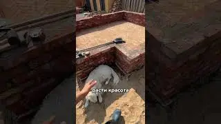 Строю тёплую теплицу в английском стиле.