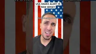 USA Snake Alert In New Jersey