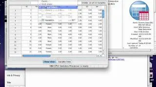 SPSS Lab Session 1-Adding Labels and Value Labels.mov