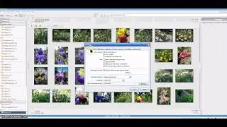 Как выставить русский язык в программе Picasa 3