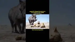 A wild boar saves a lion cub from eagles#shorts|The lion king|#short