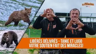 Tout cela grâce à vous : LIBÉRÉS DÉLIVRÉS - TANIE ET LUGO 🐻🐻