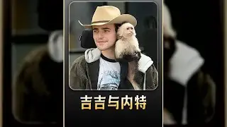 意外癱瘓男，一只卷尾猴的出現，讓他重獲新生 #电影 #电影解说 #影视 #影视解说 #剧情