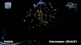РС6930: Снегопарни