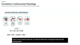 Cardiac Disorders