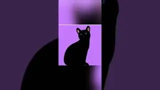 Клип делай смело | Кошка Эра | Февраль 2023)