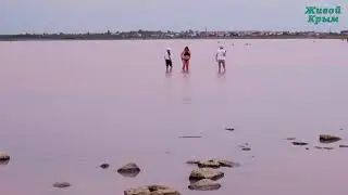 Сакское лечебное розовое озеро