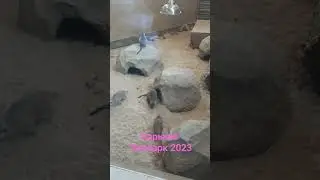 ХАРЬКОВ ЗООПАРК 2023 