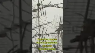 Самое перенаселённое место#shorts #история #китай #гонконг