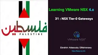 31 NSX Tier 0 Gateways