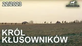 SUDECKA OSTOJA 22/2023 Król kłusowników!