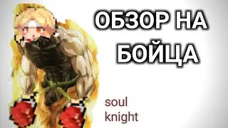 ОБЗОР НА БОЙЦА соул кнайт soul knight