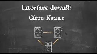 Nexus - Interfaces shows 